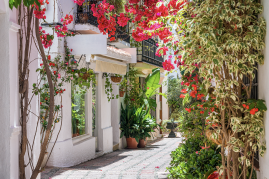 ”The pink flowers”, Bougainvillea Flowers in Marbella Old Town