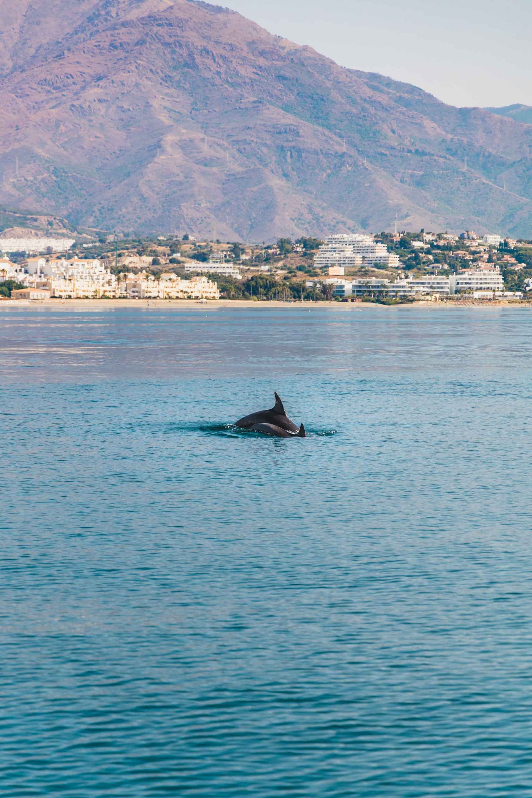 Marbslifesytle image slide