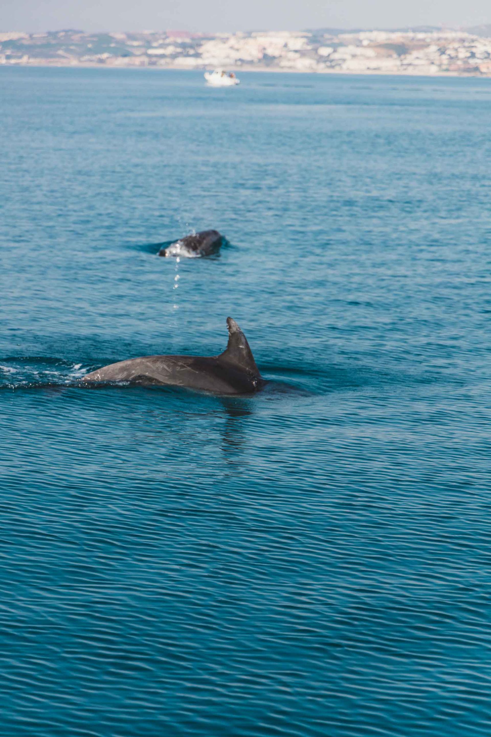 Marbslifesytle image slide