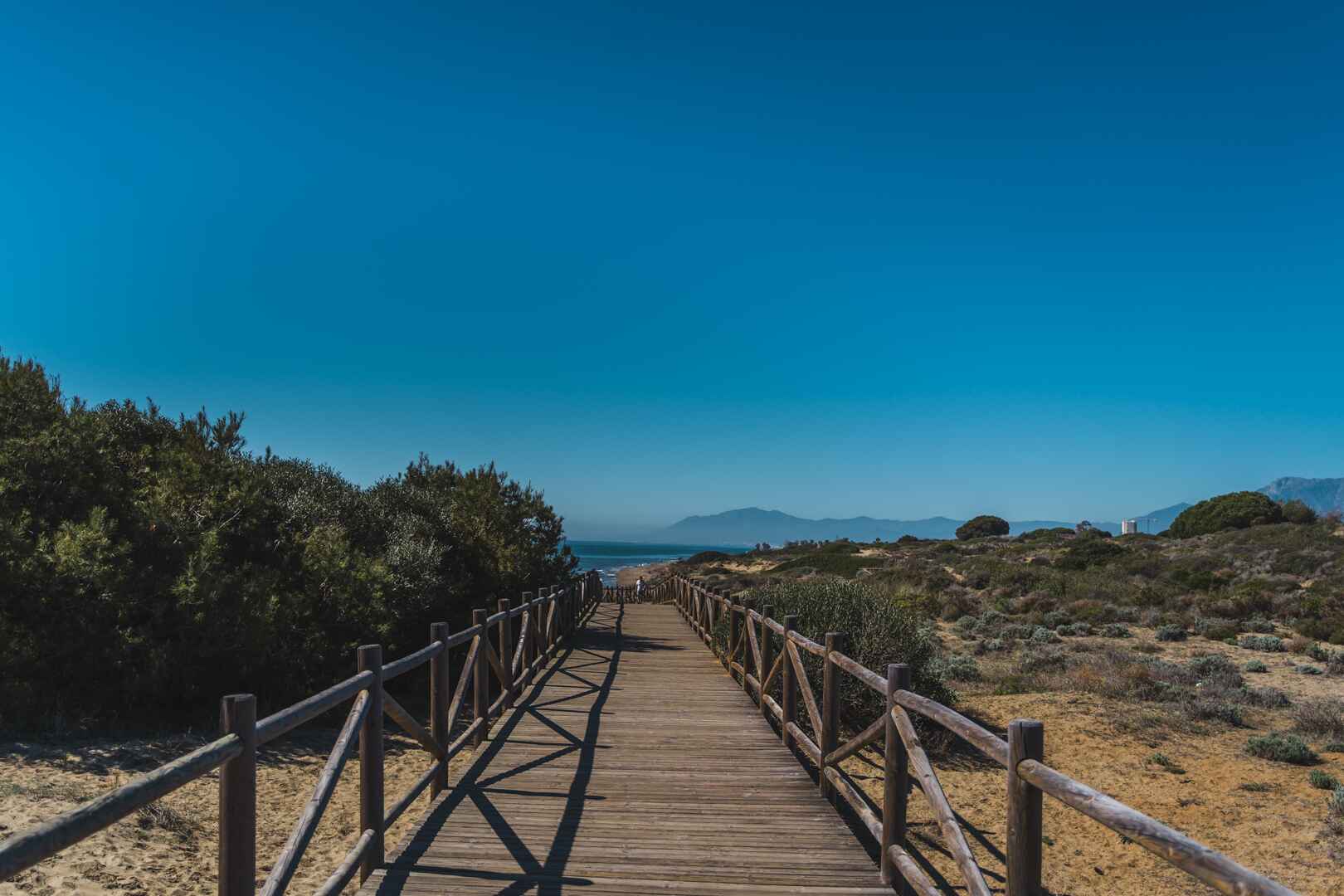Cabopino beach, golden sand and bread breaking nature