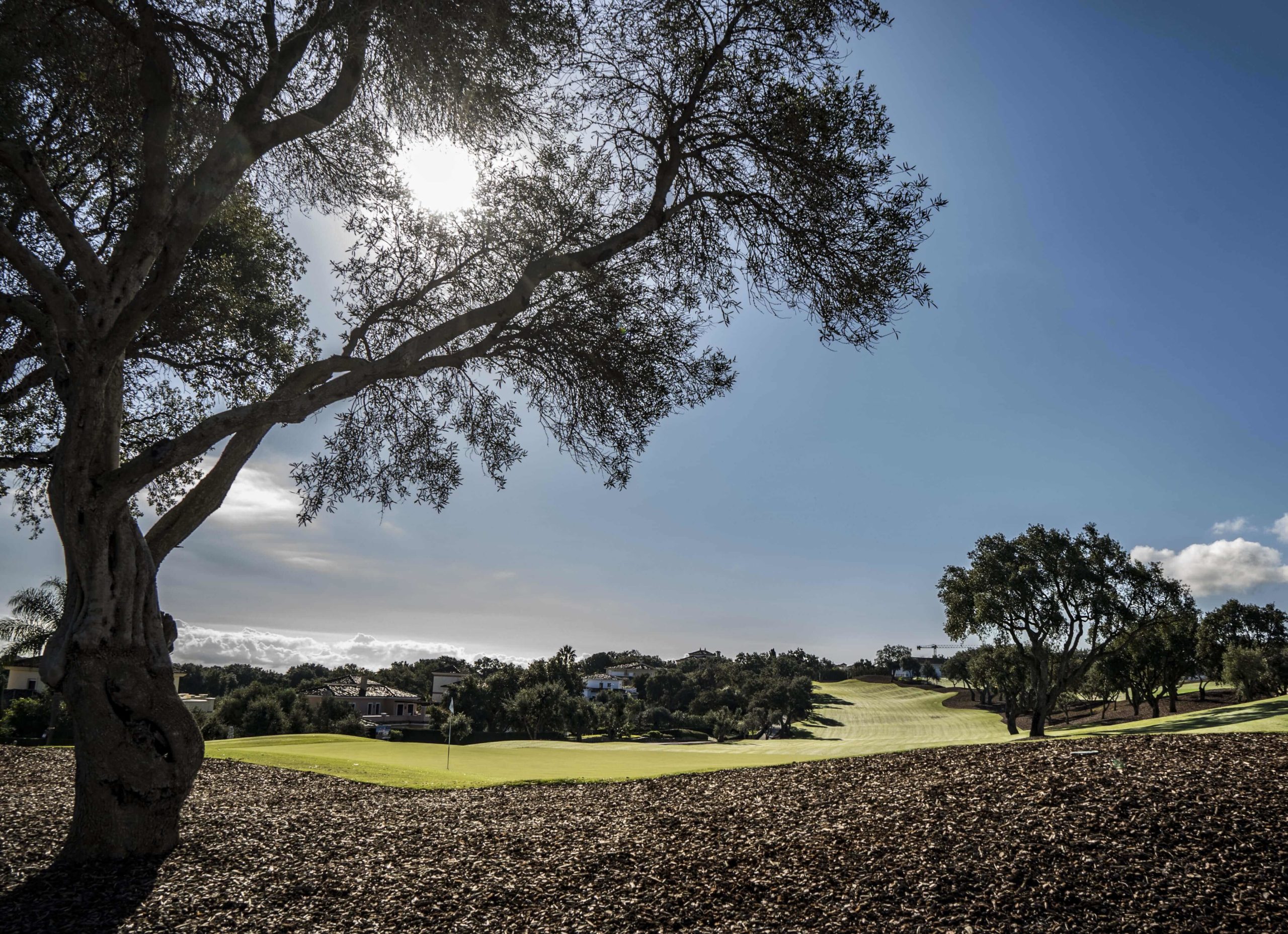 Marbslifesytle image slide