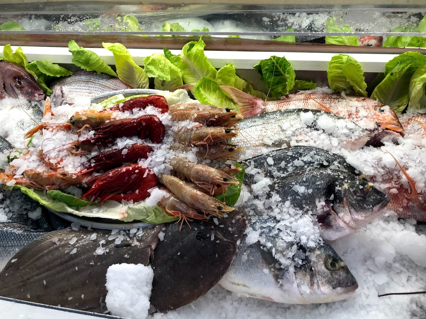 Marbslifesytle image slide