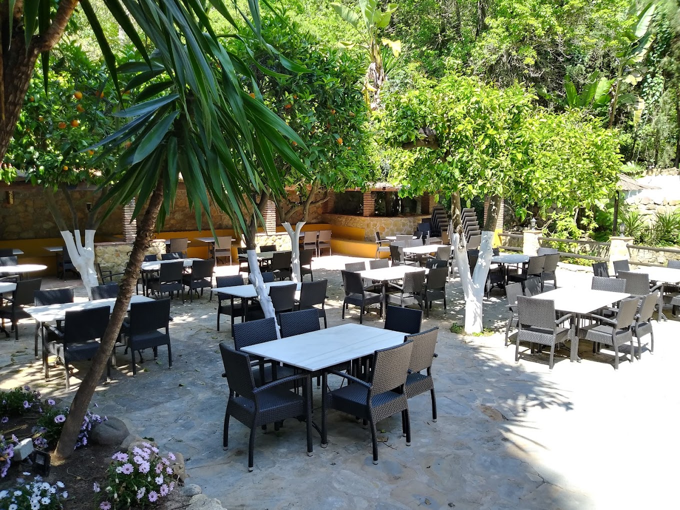 Marbslifesytle image slide