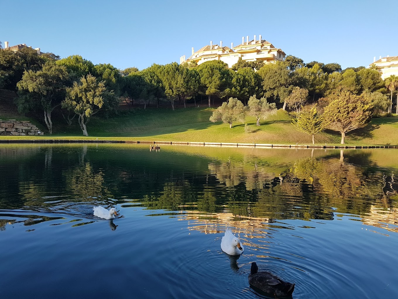 Marbslifesytle image slide