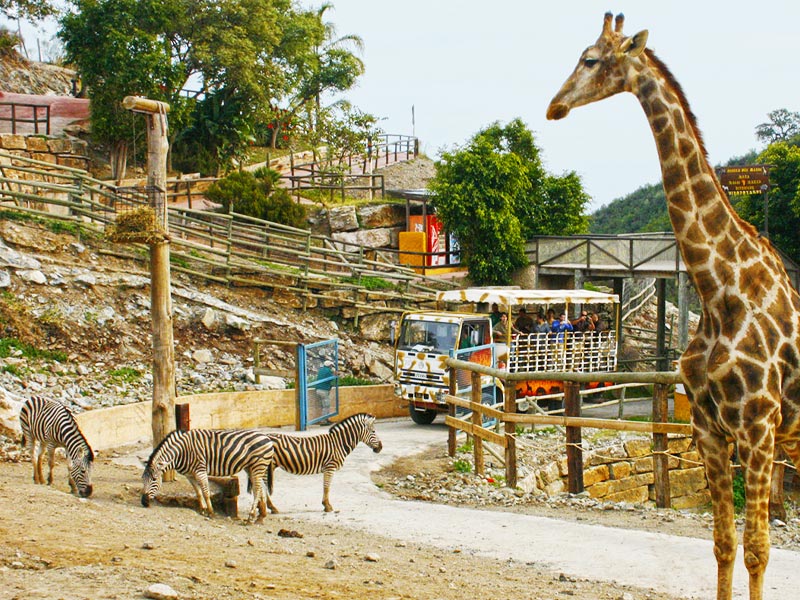 Marbslifesytle image slide