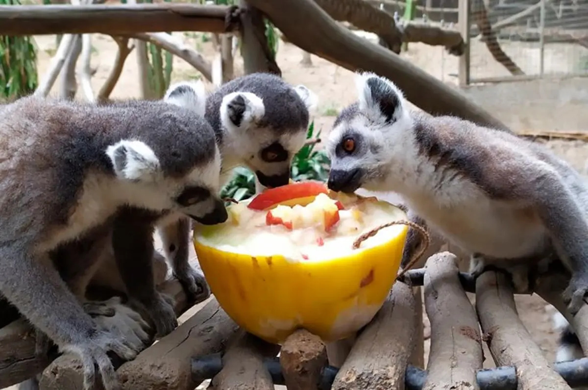 Marbslifesytle image slide