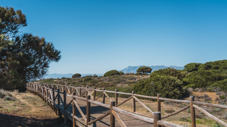 Cabopino beach – a unique experience on the Costa del sol