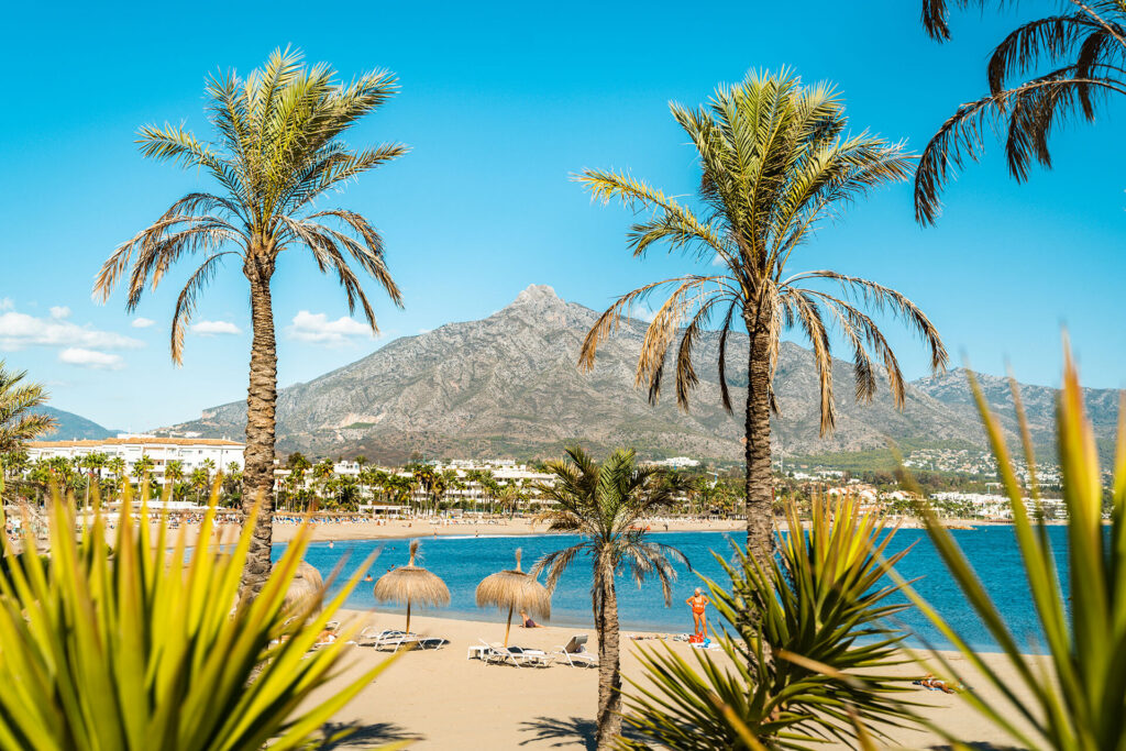 The best beach clubs in San Pedro 2026