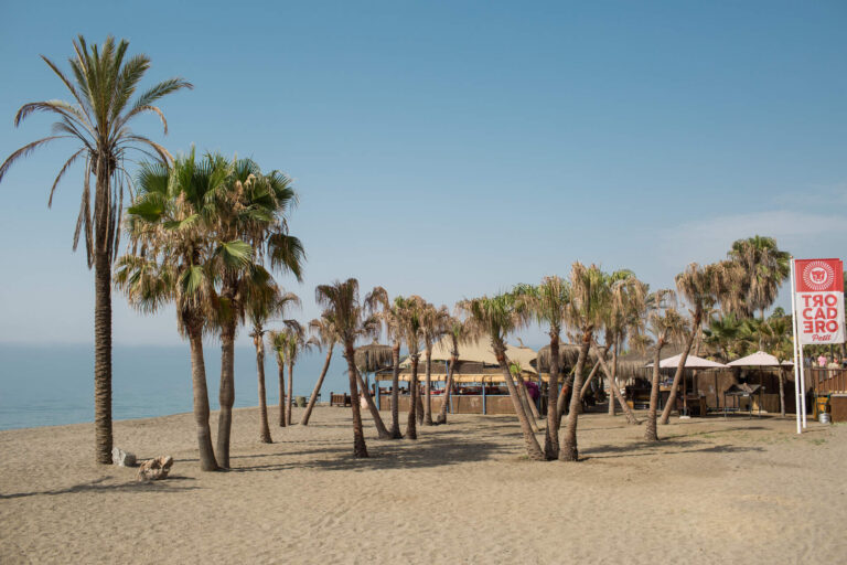Trocadero Petit Playa gallery image 1