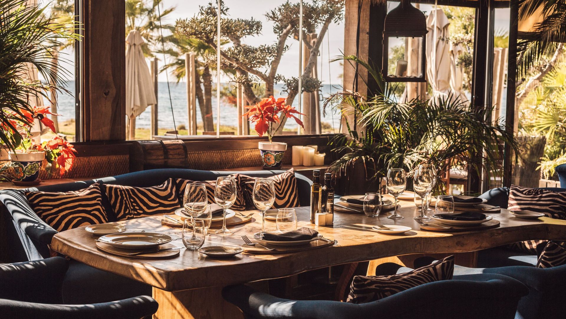 Embracing Marbella’s sunny winter: a Guide to enjoying 20 degrees and sunshine
