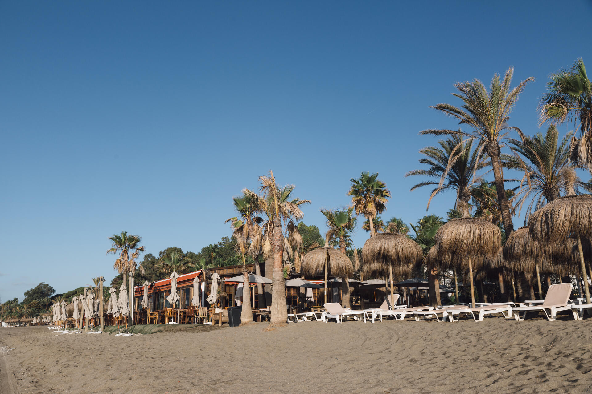 Trocadero Playa image slider image