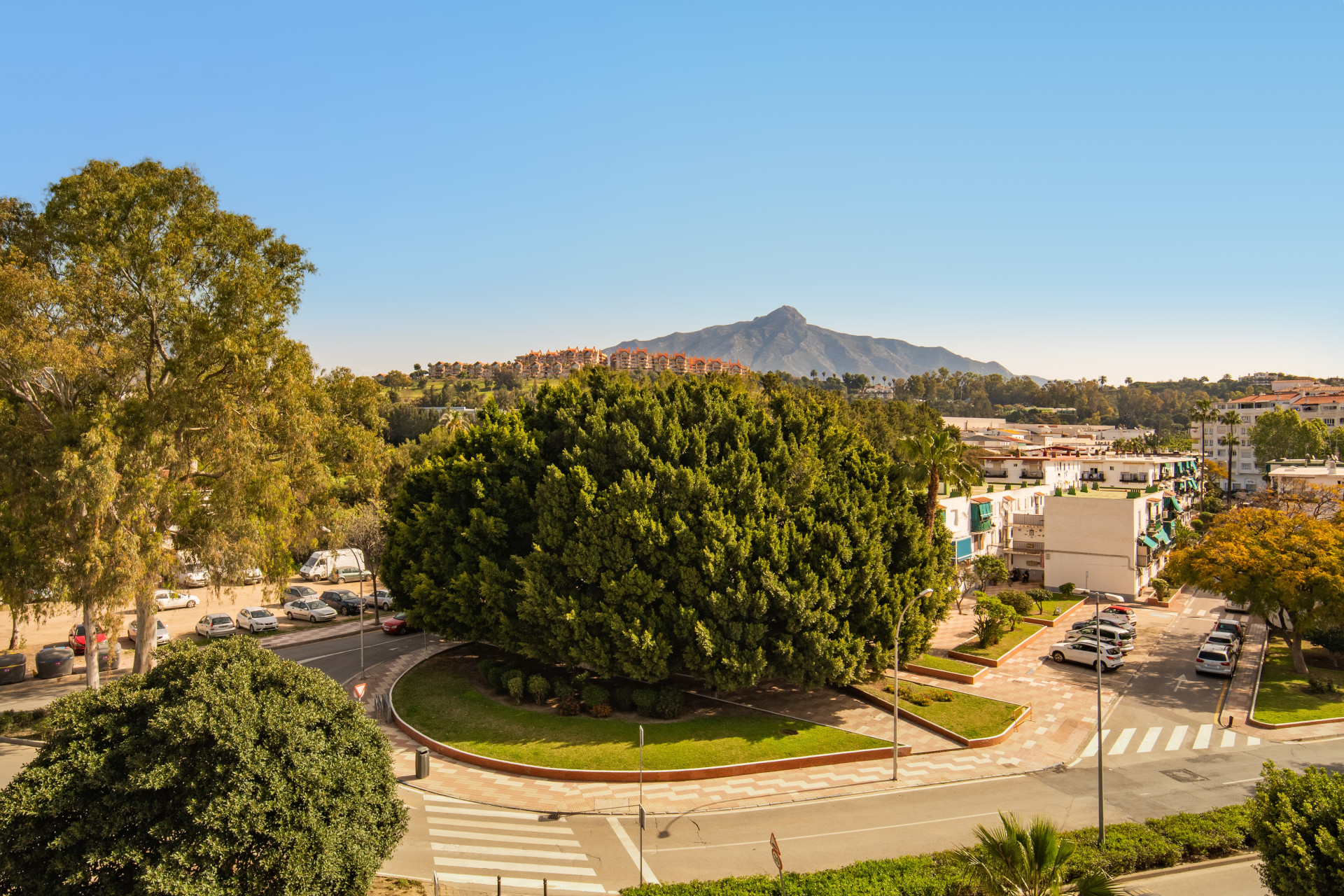 Apartment in Nueva Andalucia, La Campana - 855-00024P