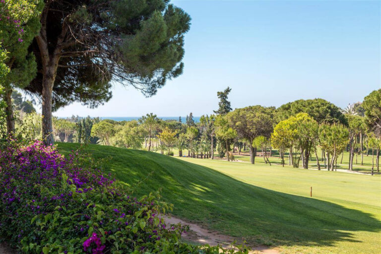 Frontline Golf Villa in Río Real