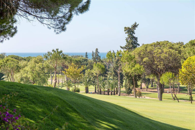 Frontline Golf Villa in Río Real