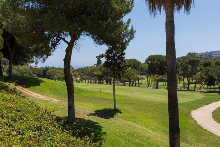 Frontline Golf Villa in Río Real