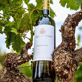 laescalera.debalthazar