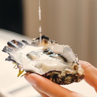 laescalera.debalthazar