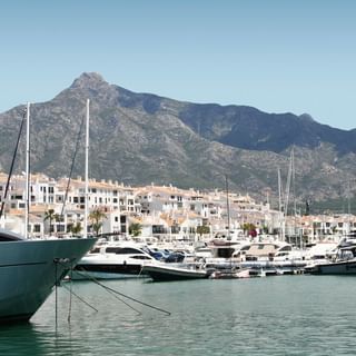 lapappardellapuertobanus