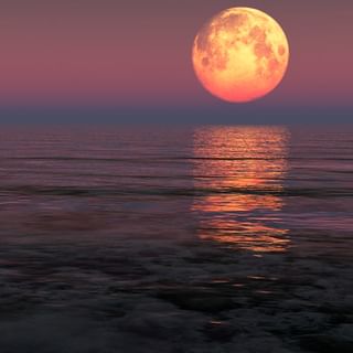 lapappardellapuertobanus