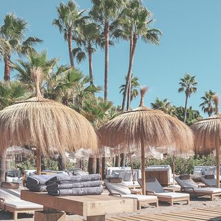 malva_beach
