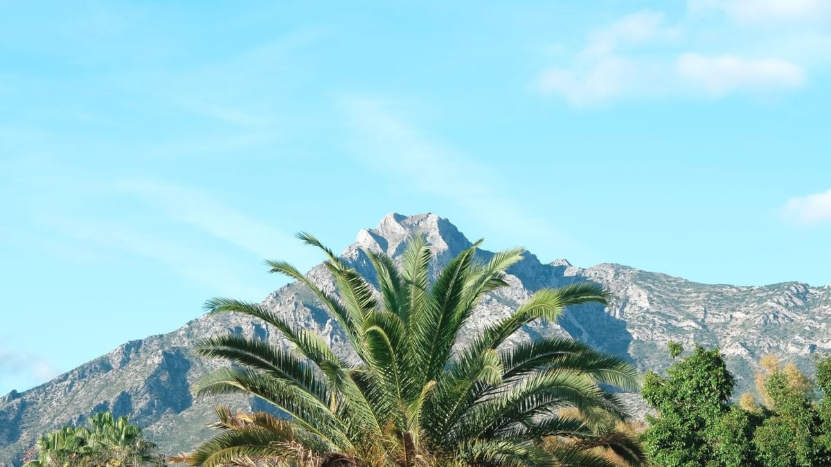 Marbella Club 2026 MarbsLifestyle.com