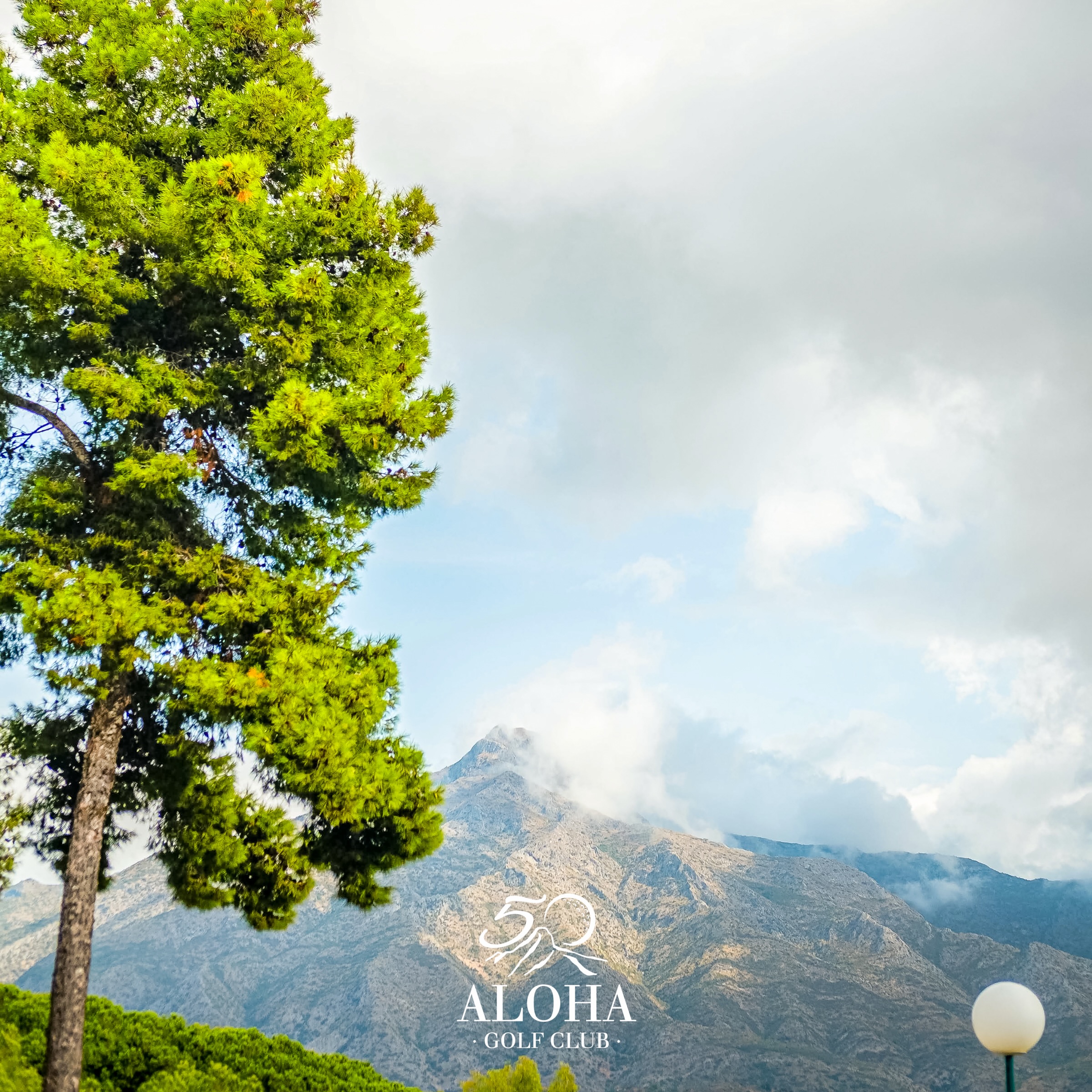 Where the fairways meet the mountains ⛳️✨ A moment of calm above it all at Aloha Golf Club.