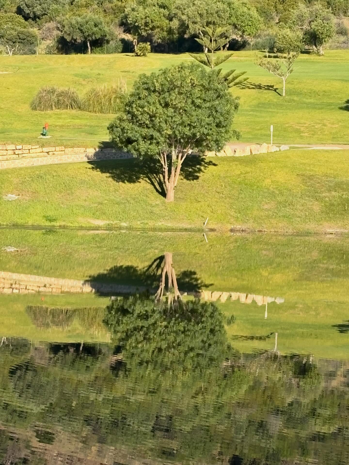 Mañanita en el campo 🤪🤪🤪🤪🤪