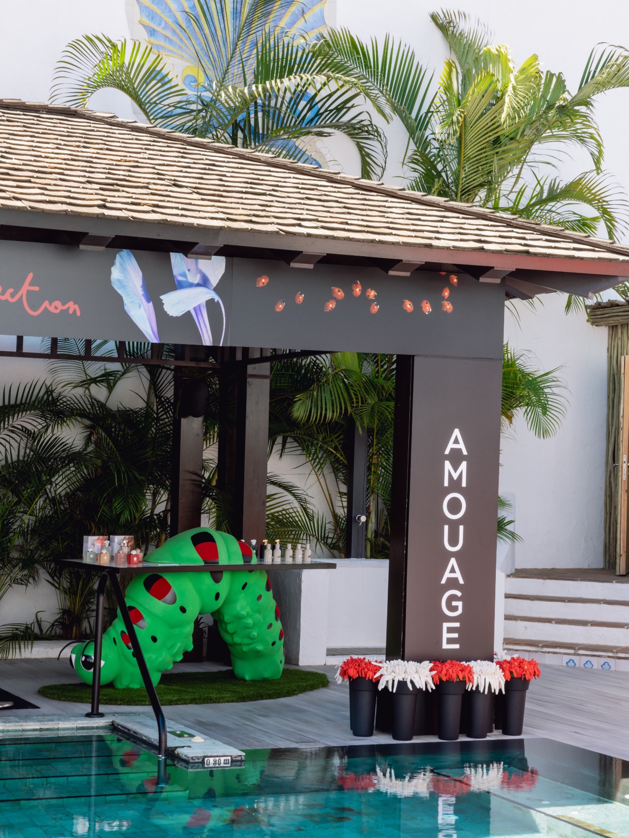 @nobumarbella Instagram image