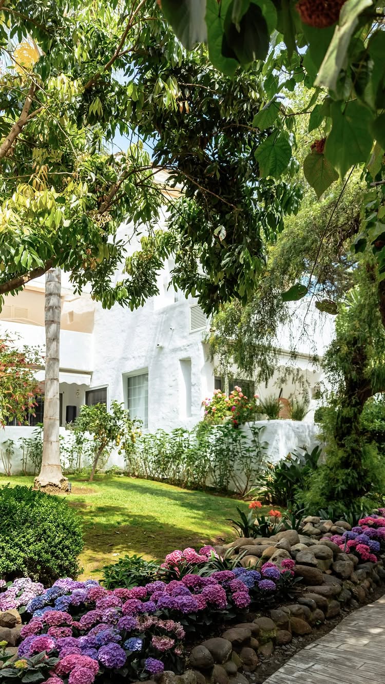 @nobumarbella Instagram image