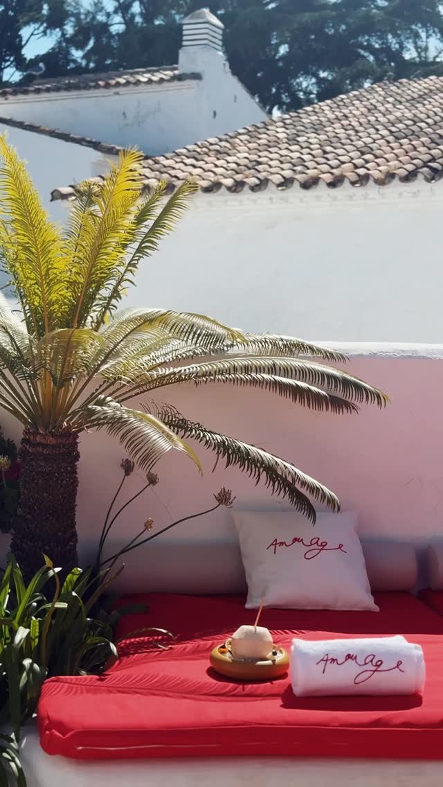 @nobumarbella Instagram image